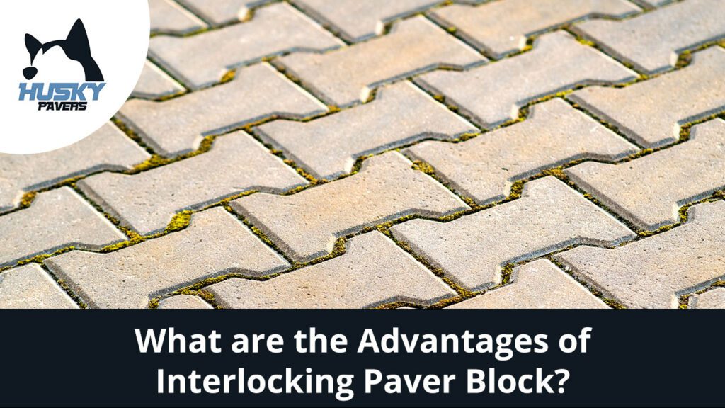 Close-up view of interlocking paver blocks